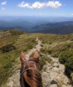 Australia Riding