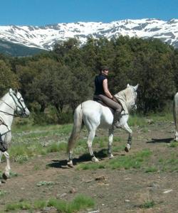 Spain Horse Riding