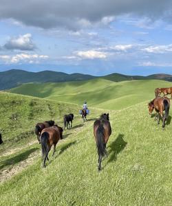 Caucasus Riding