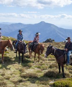 Australia Riding