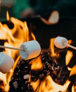 Cooking marshmallows on fire 