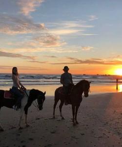 Riding along the beach 