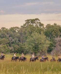 Botswana Horse Riding