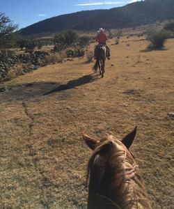 Mexico Horse Riding