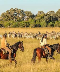 Botswana Riding