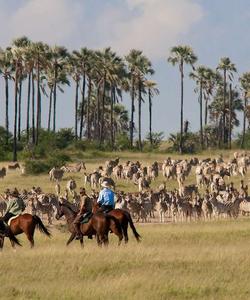 Botswana Horseback Safari