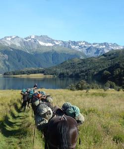 Group horseback riding