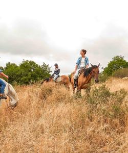 Georgia Horse Riding