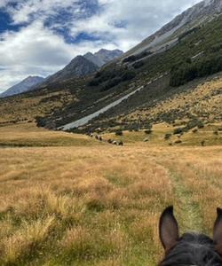 Riding towards the mountains 