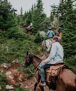 Riding through the mountain forest 