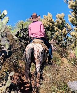 Mexico Horse Riding