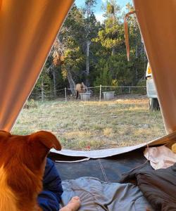 Waking up in a tent 