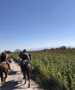 Mexico Horse Riding