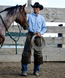 Guide preparing a horse 