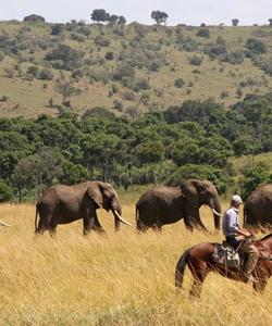 Kenya Riding Safari