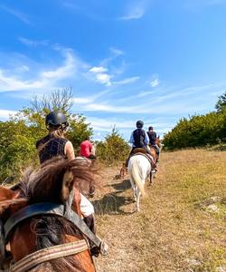 Georgia Horse Riding