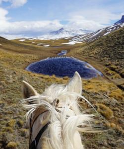 Torres del Paine Riding