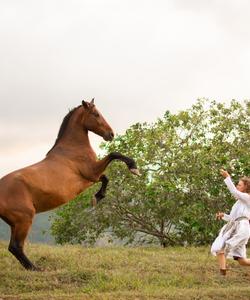 Costa Rica Riding