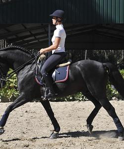 Portugal Riding Lessons