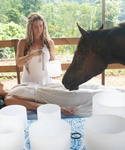 Healing session with horses 