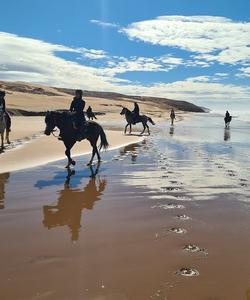 Beach ride 