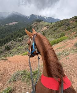 Kyrgyzstan Horse Riding