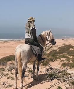 Horse riding in a desert