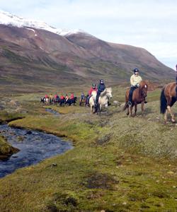 Iceland Horse Riding