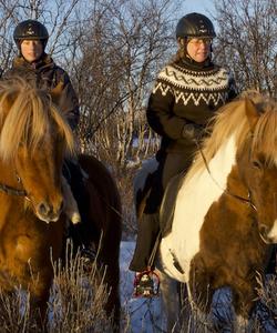 Sweden Horseriding