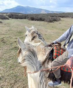 Ethiopia Horse Riding