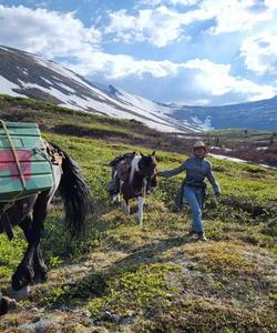 Equestrians exploring the Yukon 