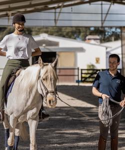 Portugal Dressage