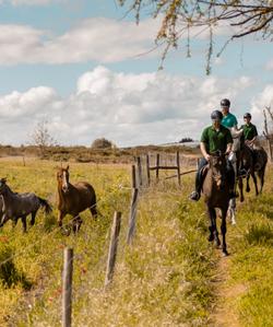 Ribatejo Riding