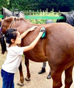 Horse Riding Camp