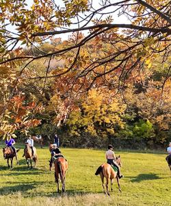 Georgia Horse Riding