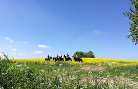 Poland Horseriding