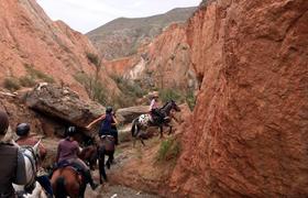 Spain Horse Riding