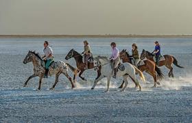 Botswana Riding