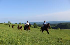 Serbia Horseriding