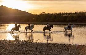 Ribatejo Riding