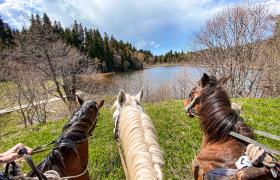 Georgia Horse Riding