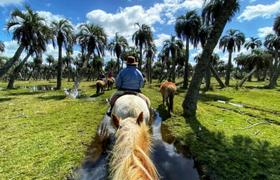 Uruguay Horse Riding