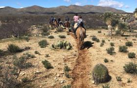 Arizona Horseriding