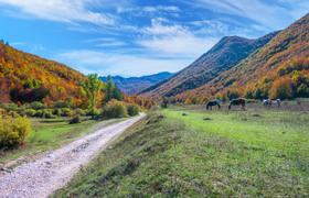Abruzzo Hational Park