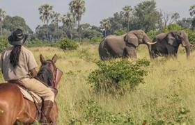 Botswana Riding Safari