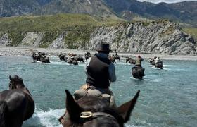 Horse riding in New Zealand