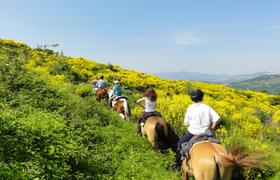 Ride in a field