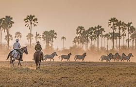 Botswana Riding