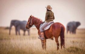 Botswana Riding