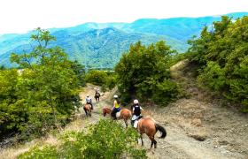 Georgia Horse Riding